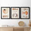 Collection de coquillages I - ensemble de 3 peintures sur toile encadrées-515866380-515866379