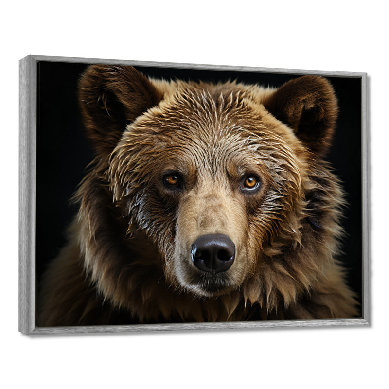 «Bear Portrait - Bear», reproduction d'art sur toile encadrée, H 34 po x l 44 po, Argent argent