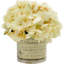 Cream Beige Hydrangea Cluster
