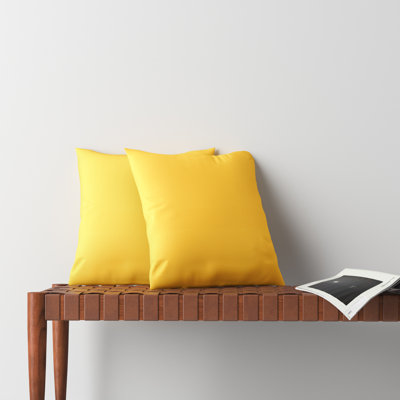 Housse et insert de coussin d'extérieur Ashbrun Sunbrella