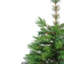 Arbre de Noël artificiel épinette moyen 3 pi New Carolina