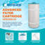 Filtres de rechange pour cartouche de spa-98181620-98181623