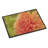 Non-Slip Doormat-16654651