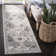 Newhouse Oriental Silver/Gray Area Rug