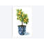 «Fruit Tree I», impression sur toile-29283408-74731893-74731898