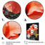 Hibiscus tropical - rose-136808284-136808285