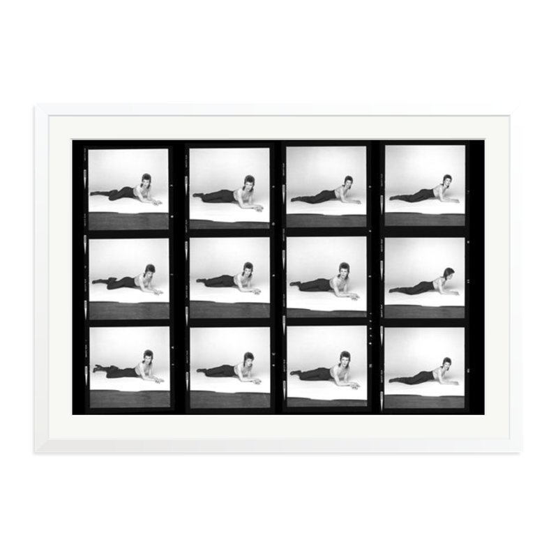 The Diamond Dogs Contact Sheet, White, 27" H x 38" W