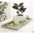 Borce Tray-1279867128-1279867129