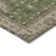 Machine Washable Indoor/Outdoor Xhevrie Aloe Rug