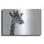 «Giraffe Expressionism» par SD Smart-1381832086