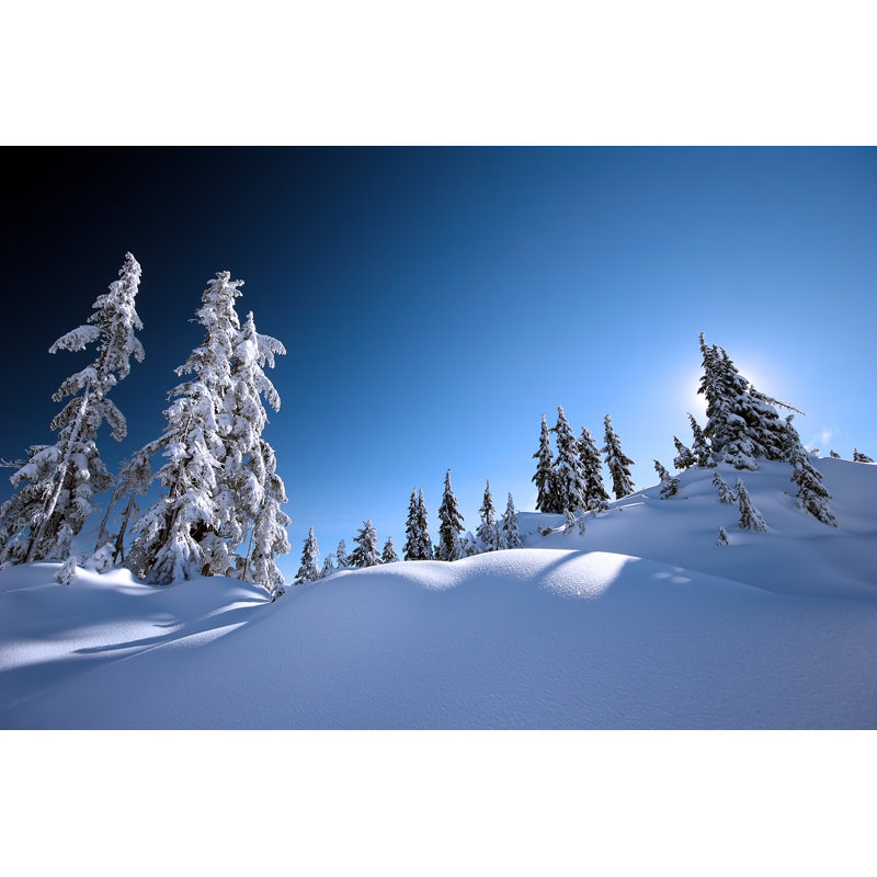 Serene Winter Wonderland - Photographie sur toile tendue, H 12 po x l 18 po