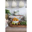 Millwood Pines Belsan Wood Tray