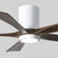 Ventilateur de plafond à 5 pales DEL avec ensemble d'éclairage inclus Irene-264797997-190528879-190434782