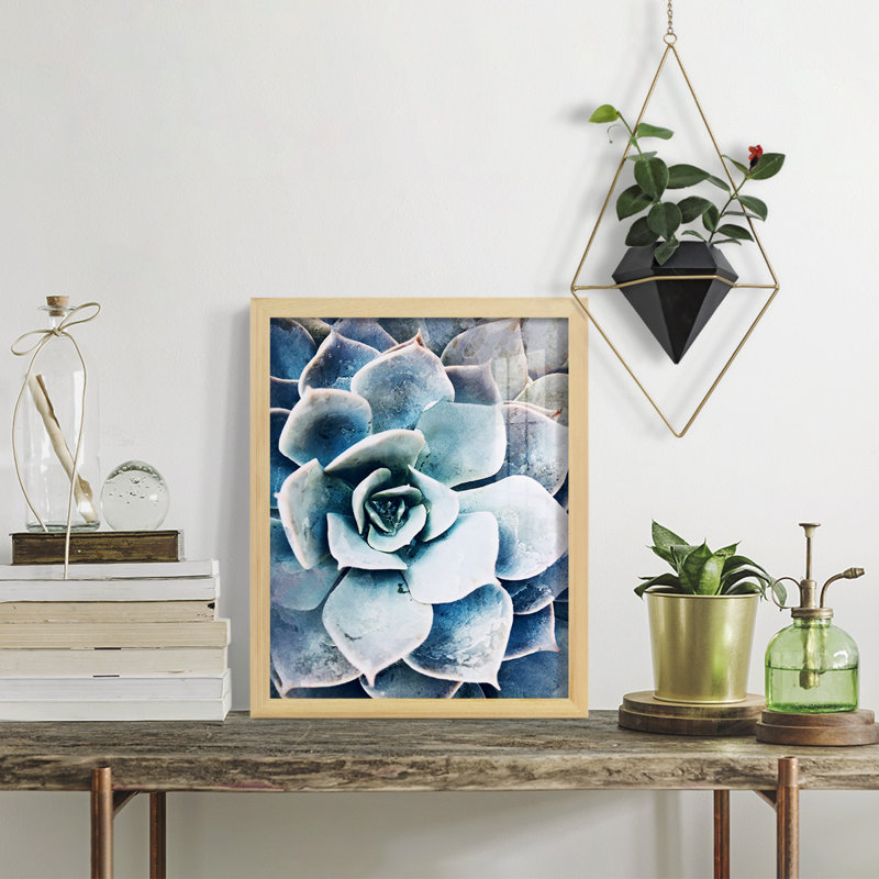 Pastel Succulent Beauty III, encadré sur papier, H 15 po x l 12 po x P 1 po, Naturel
