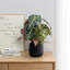 Artificial Plant