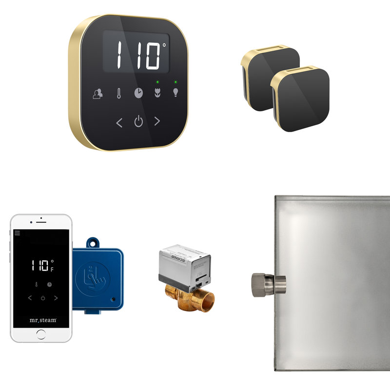 Ensemble de générateur de vapeur AirButler Max, Noire/chrome poli