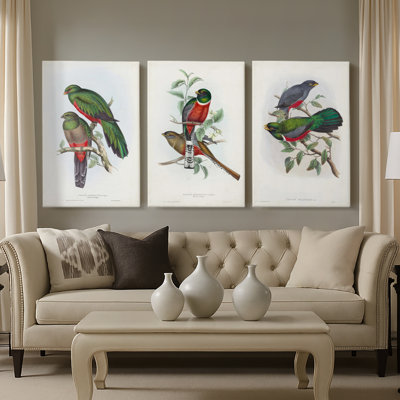 Gould Tropical Birds I  -Custom Wrapped Gallery Canvas - 3 Pieces