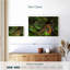Tigre indien Brampt-108698162