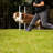 Midlee Plastic Agility Training Equipment with Carrying Case