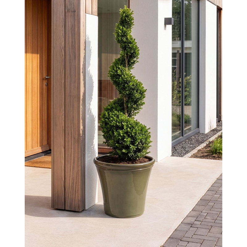 OLIVA Pot Planter