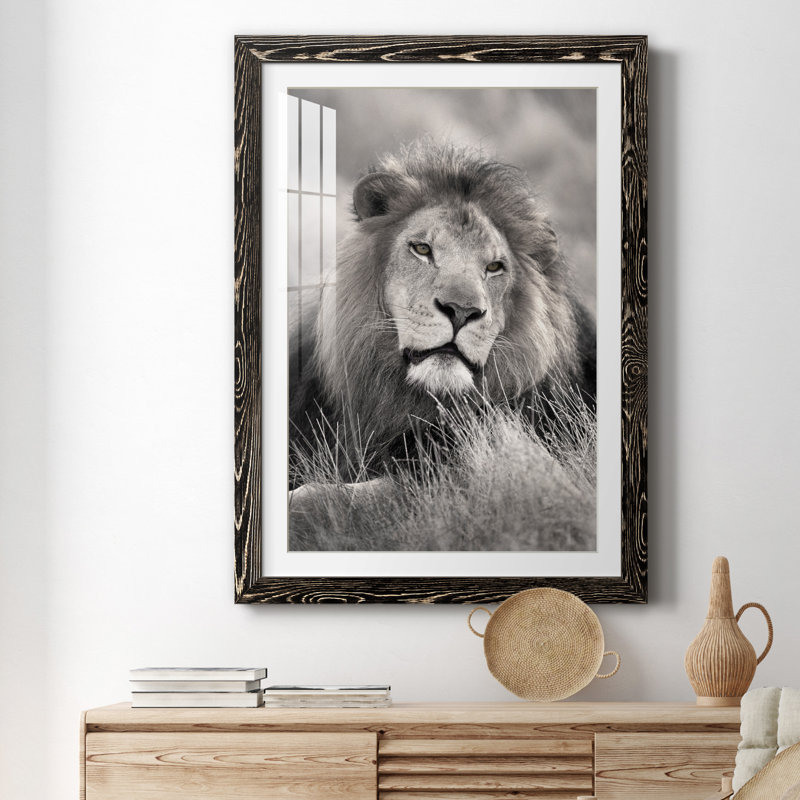 " Pride Of The Pride ", Black Framed, 31.5" H x 23.5" W x 1.5" D