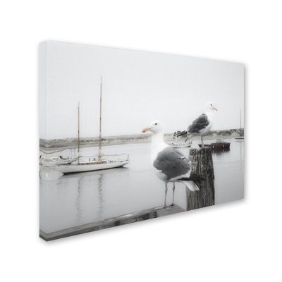 « two seagulls & bateaus » par moises perception reproduction de photo sur toile tendue