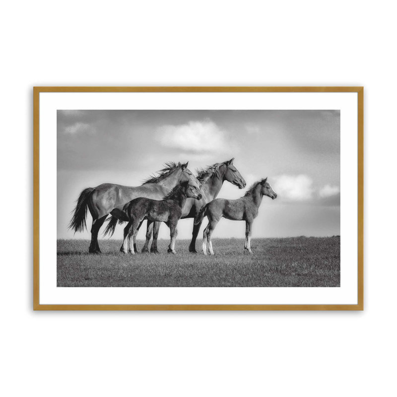 Famille de chevaux sauvages, H 25 po x l 37 po, Famille de chevaux sauvages, Cadre photo doré simple