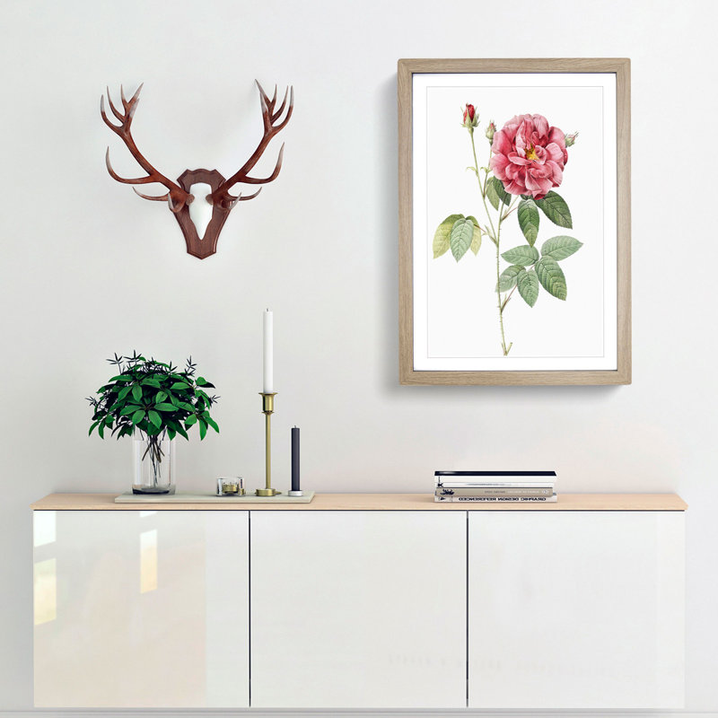 French Rose by Pierre-Joseph Redoute - Picture Frame Painting Print, 48cm H x 36cm W x 2cm D, Oak Framed