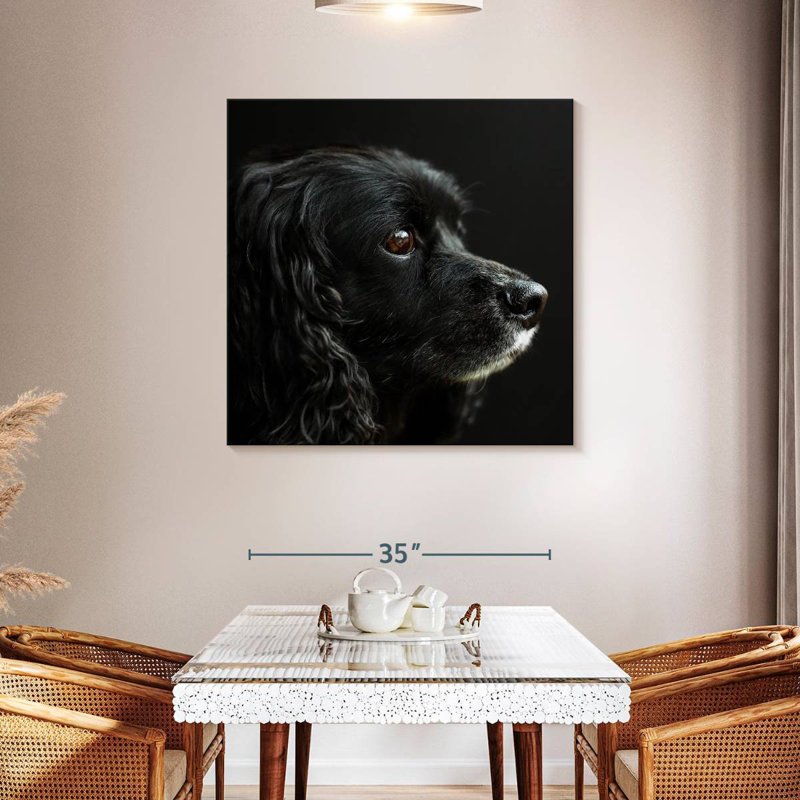 Cocker Spaniel Portrait, 39" H x 39" W