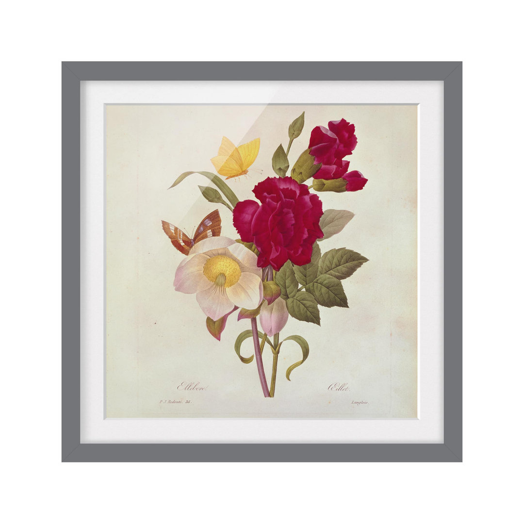 Gerahmtes Poster Christmas Roses von Pierre-Joseph Redouté