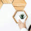 Hexagon Wall Shelf-1895067572