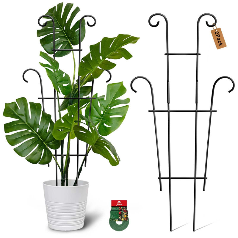 Treillis pour plantes en pot (lot de 2), grand treillis de jardin de 60 cm pour plantes grimpantes d'intérieur et d'extérieur
