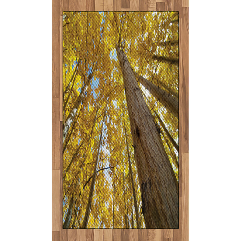 Scenery High Density Long Fiber Poly Threads Decorative Area Rug Carpet, Rectangle 2'7" x 5'