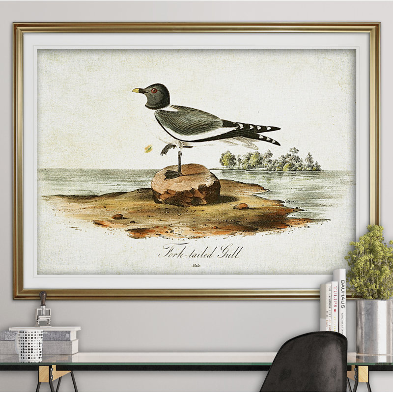 " Aviary Drawing VI ", 31" H x 43" W x 1.5" D, Gold Framed, White Mat