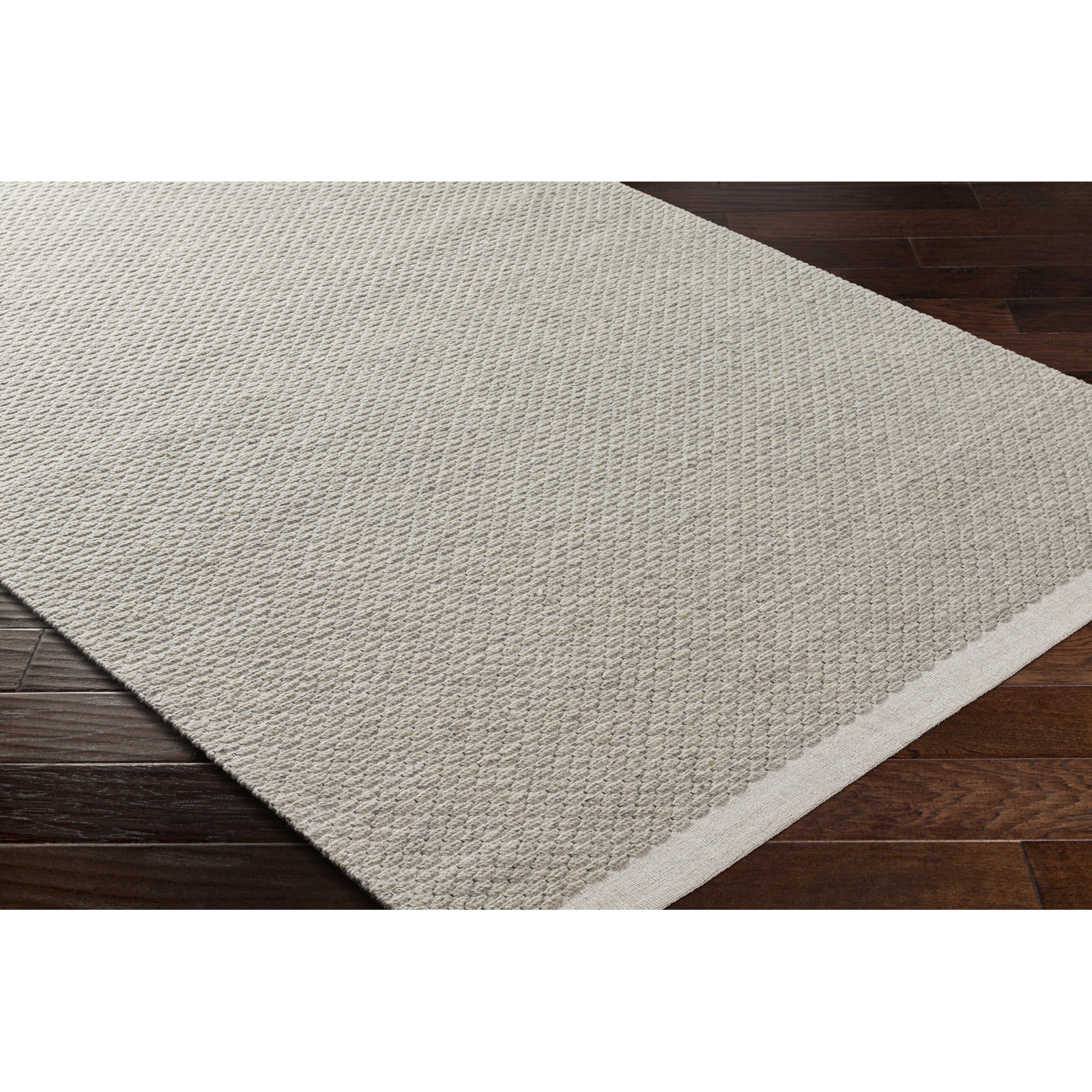 Rylee Hand-Woven Light Gray Rug, Rectangle 2' x 3'