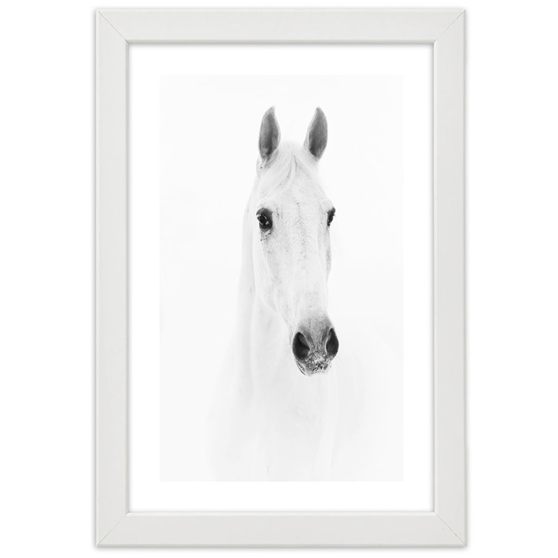 White Horse Animals Nature - Single Picture Frame Print, 90cm H x 60cm W, White
