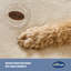 Silentnight Orthopaedic Donut Pet Bed-108742838