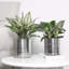 Handmade Metal Pot Planter
