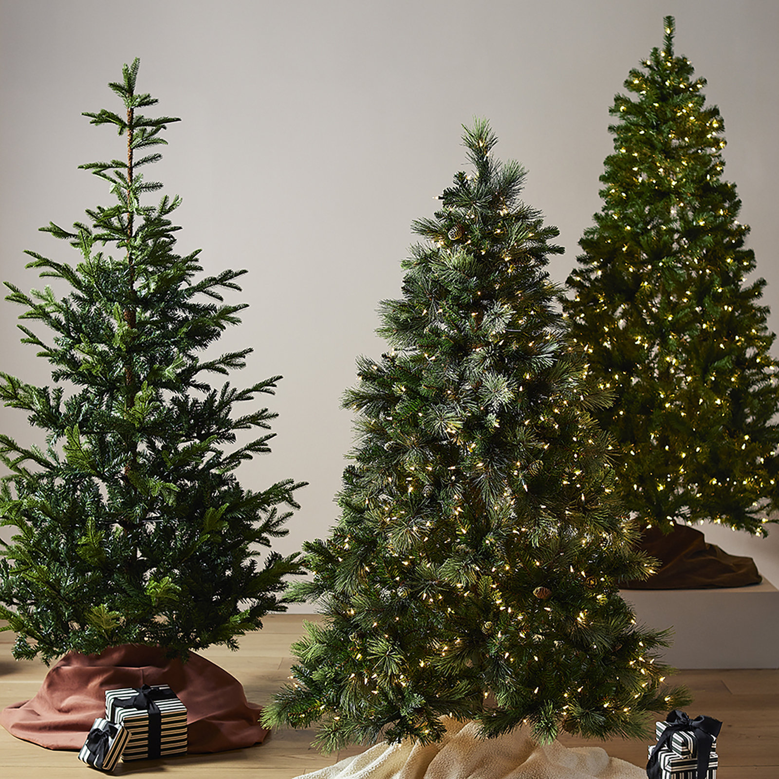  Carolina Pine Tree with Clear Lights, 7'