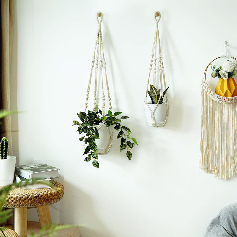 Cintres à plantes avec pots et soucoupes