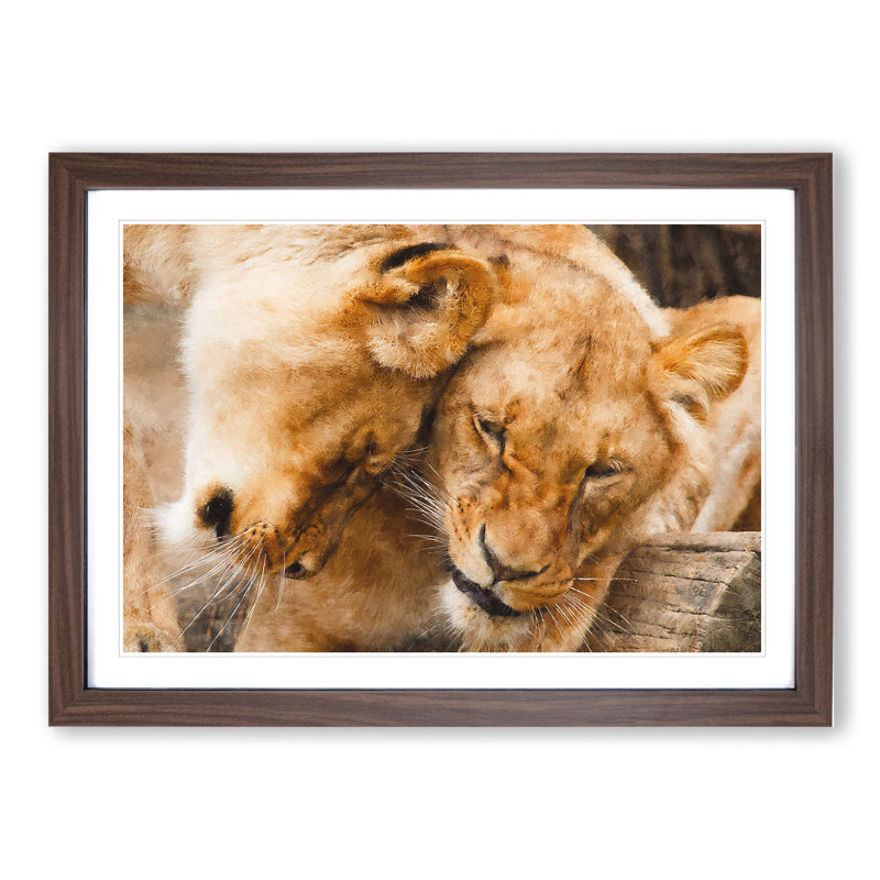 Cuddling Lions - Picture Frame Painting, 27cm H x 36cm W x 2cm D, Walnut Framed