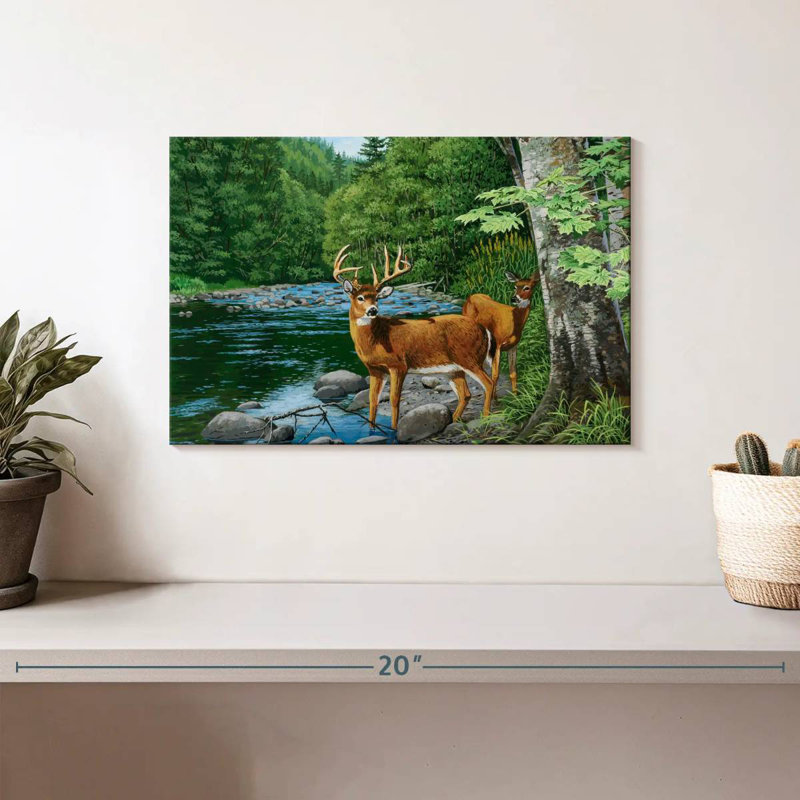 Cerf de Virginie Brampt Streamside, H 8 po x l 12 po