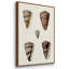 Ensemble de 3 pièces encadrées sur toile "Cone Shell Collection I"-620721008-620721021