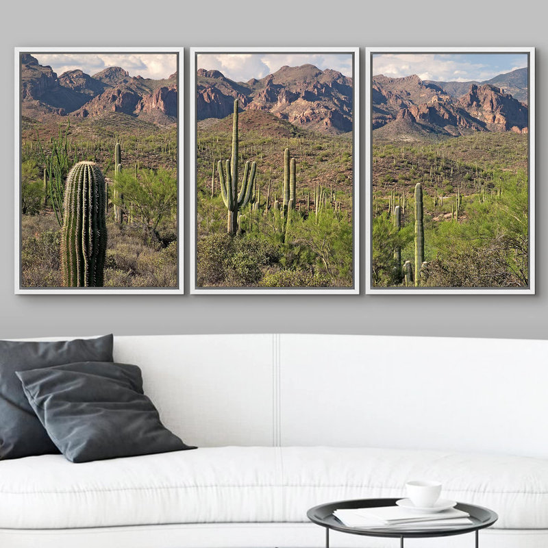 Décoration murale paysage moderne Saguaros in Sonoran Desert, H 24 po x l 48 po, Cadre flottant blanc