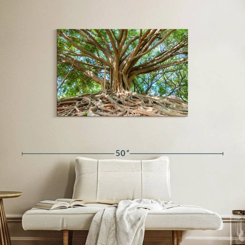 Parc Harnek Banyan Tree, H 26 po x l 39 po