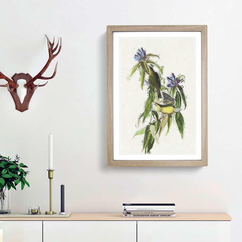 Connecticut Warbler Birds by John Audubon - Picture Frame Painting Print, 65cm H x 48cm W x 2cm D, Oak Framed