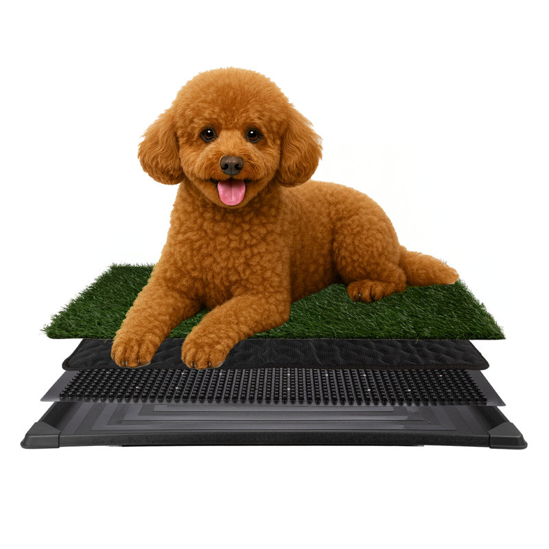 Tapis de pelouse artificiel pour chien avec plateau PETMAker, H 1,57 po x l 20,66 po x P 26,18 po