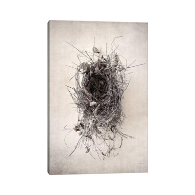 Nest II by Debra Van Swearingen - Wrapped Canvas Print