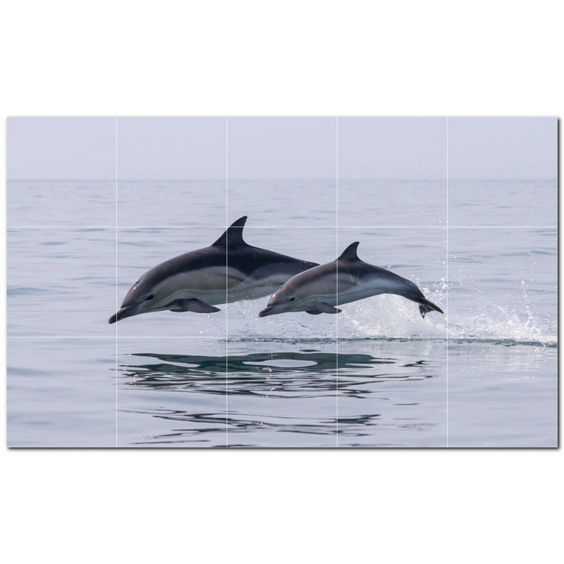 Murale décorative en céramique 6 "x 6" Dolphin Photo