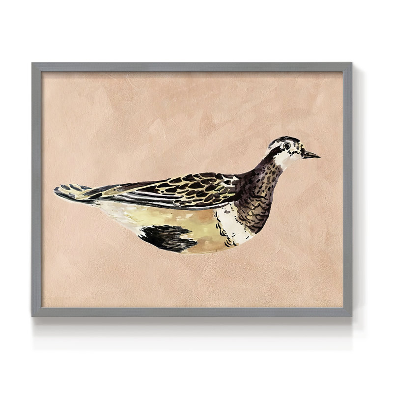 «Feathered Friend IV», reproduction encadrée, Gris, H 11 po x l 14 po